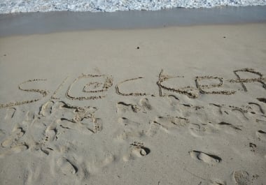 Web Designer Profesional