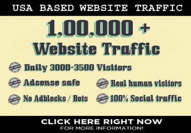 I will drive US based traffic to your website for 30 days