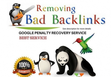 I will evaluation and remove bad backlinks to recover google penalty