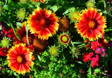 SEO, Link Building, Keyword Research