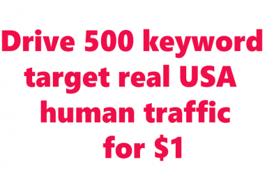Drive 500+ keyword target USA traffic by google