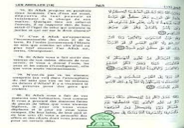 translate word or texte three language frensh-english-arabic