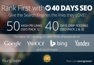 rank you First in Google, 50 PR10 Niche Backlinks, 40days SEO
