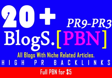  PBN Create 20+ Blog Network with niche related articles and Indexing