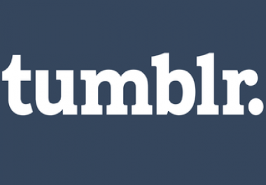 PA 27+ Provide 20 Expired Tumblr Blogs