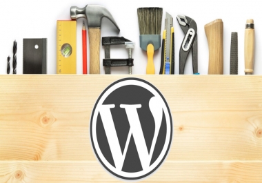 Fix anything in Wordpress professionally