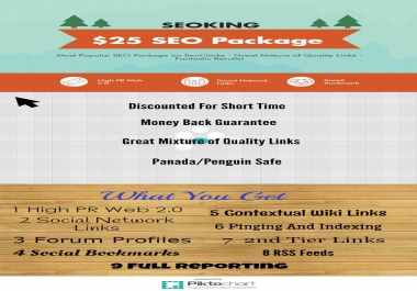 Advanced Ultimate SEO Package - Top Google Rankings