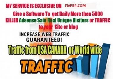 I Will send 2 software to get daily 30000 Real TRAFFIC 2 ur Site