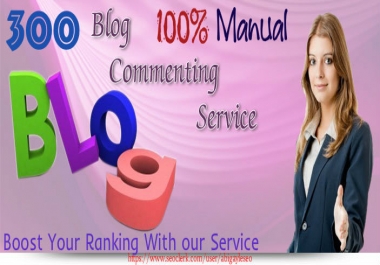  Make 300 Blog Comments By hand 100 Percent