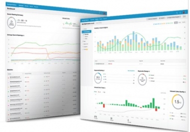 perform an SEO Audit of your current website home page