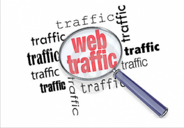 100,000 Niche Targeted 18+ Web Visitors Traffic Real,  Organic and Unique IP
