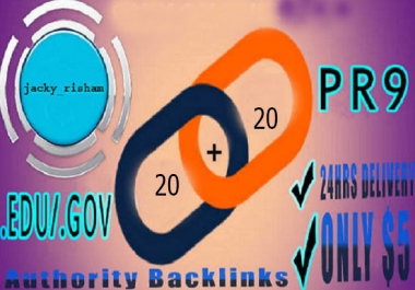 create 20 PR9 plus 20 edu gov Backlinks in 48 hours