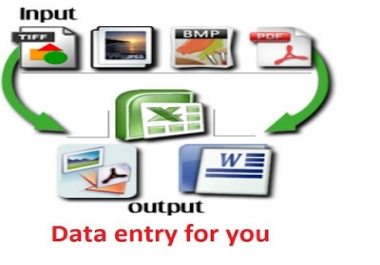 data entry services, PDF to excel or word and copy paste work