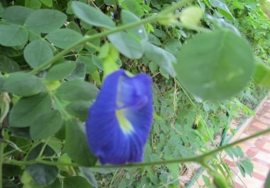 Write an article for your education related site