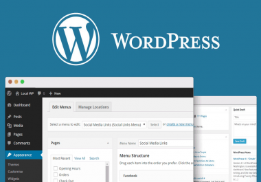 create a PROFESSIONAL wordpress website