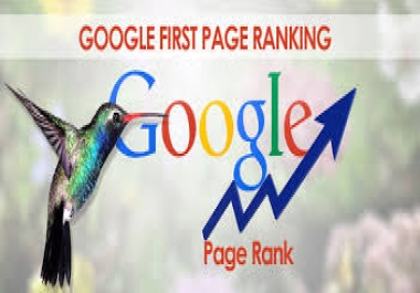 Help You Rank First In Google,  55 PR10 Backlinks,  40 Days SEO Campaign
