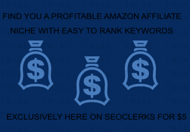 Find you a profitable AMAZON affiliate niche