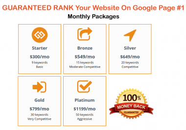 GUARANTEED RANK your Website On Google Page 1,  Monthly Package