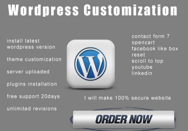 Wordpress Theme Customization and plugins installation
