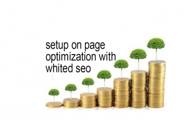 setup on page optimization with whited seo 100 qualityfull seo service