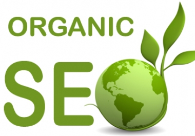 i can Do organic Search with your Website keywords and Hit your Page