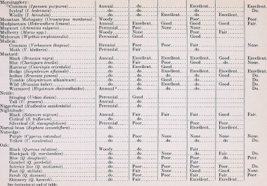 promote you 250 row Excel Data Entry