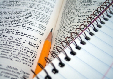 High quality,  unique,  500+ word content articles