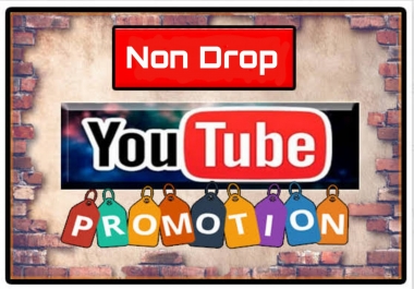 Youtube Marketing Video Promotion Life time Guaranteed