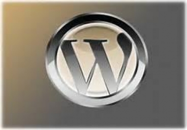 Will make a professional looking wordpress blog for you