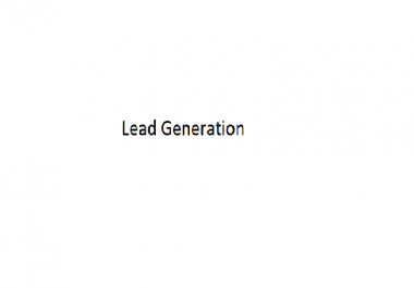 Lead Generation for Investor