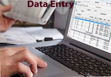 100 page data entry work PDF to MS-Word