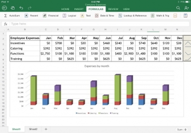 Create Advanced Excel Spreadsheet, Excel Reports With Macros
