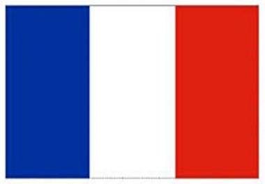 Copywriting + Guest Post 300 words on French Website