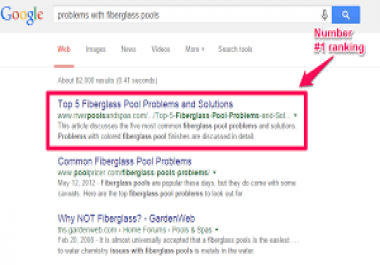 Rank first in google,  55 pr10 backlinks,  40 days SEO campaign