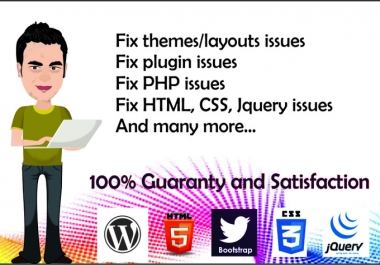Fix Wordpress Errors,  Issues,  Problems And Design Theme