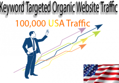 Get Panda & Penguin safe keyword targeted 100,000 USA organic traffic