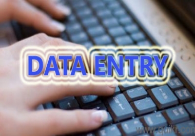 25 Pages Data Entry Work