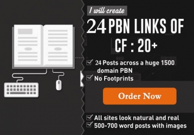 24 Strong Homepage High Quality PBN Backlinks