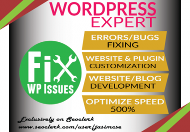 I will fix any wordpress errors or issues within 3 hours