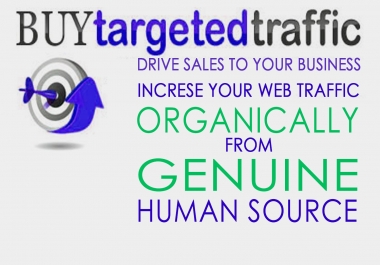 Drive 100,000 Real US,  Europe,  AU,  Keyword Targeted Traffic low bounce rate visitors