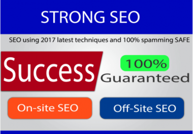40 Days Google SEO Campaign For Your Website