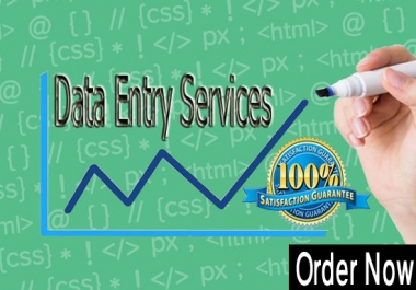 I can Do Any Data Entry Jobs