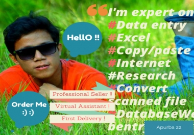 Do Data Entry For You