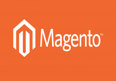 fix bugs,  errors or issues in magento website