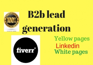 Do 100 professional b2b lead generation