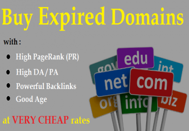 Provide you expired domain with high DA