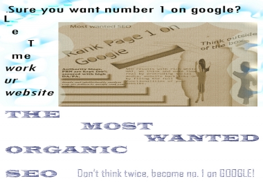 Pure Organic SEO Guaranteed Google Page Rank No. 1