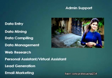 Give you professional admin support and data entry job