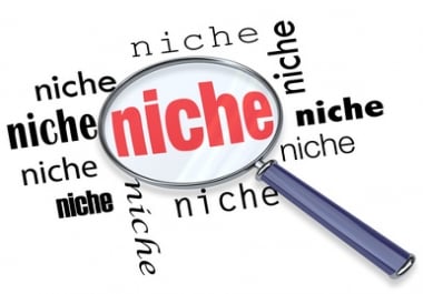 Do 20 Highly professional Niche Research