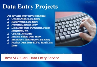 Do data Entry as ur Virtual Assistant upto 3 Hours